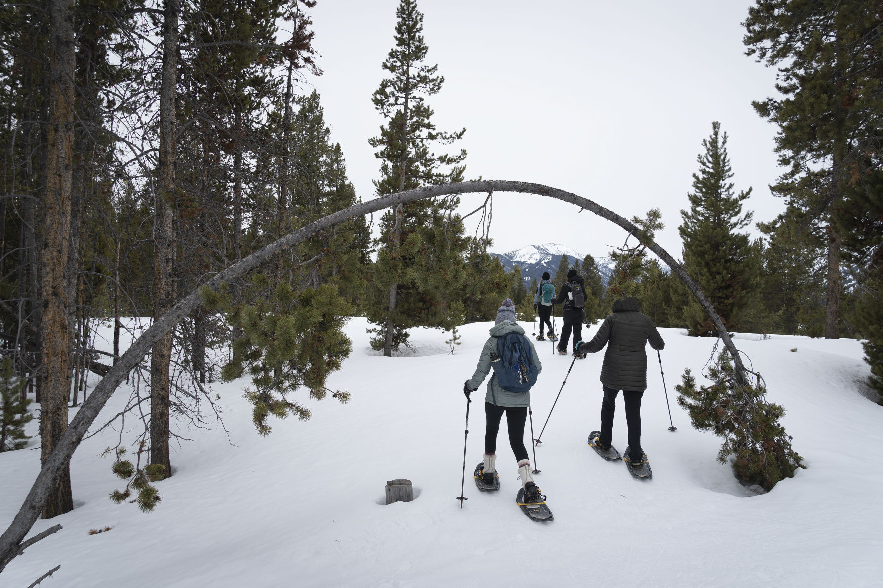 Mystery Sawtooth Adventure with CSI
